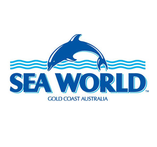 Sea World : Polystyrene and Foam